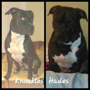 Meet your Posher, Thomas